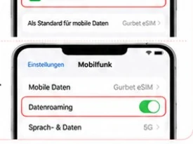 Datenroaming aktivieren